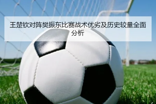 王楚钦对阵樊振东比赛战术优劣及历史较量全面分析 | NG28